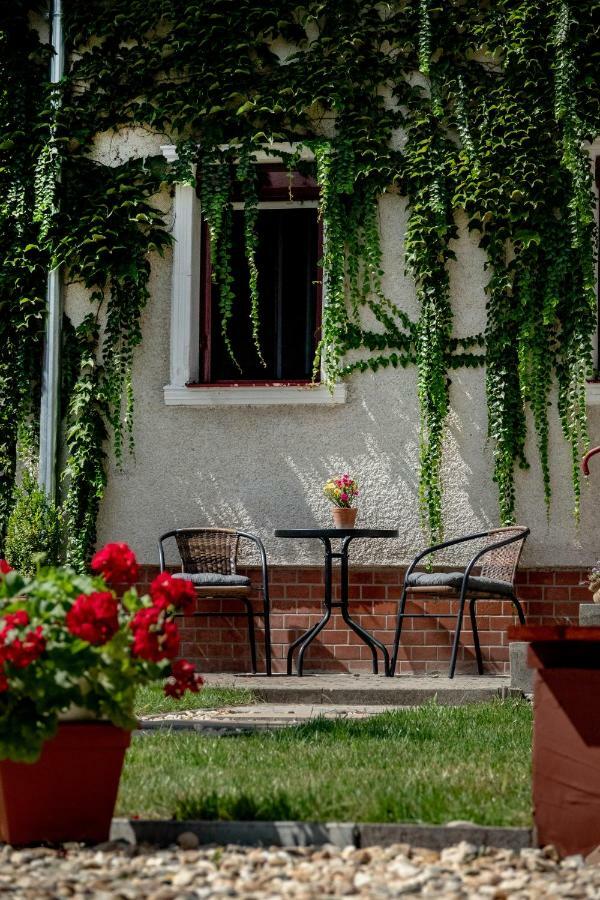 Vadszolo Apartmanhaz Gyomaendrőd エクステリア 写真