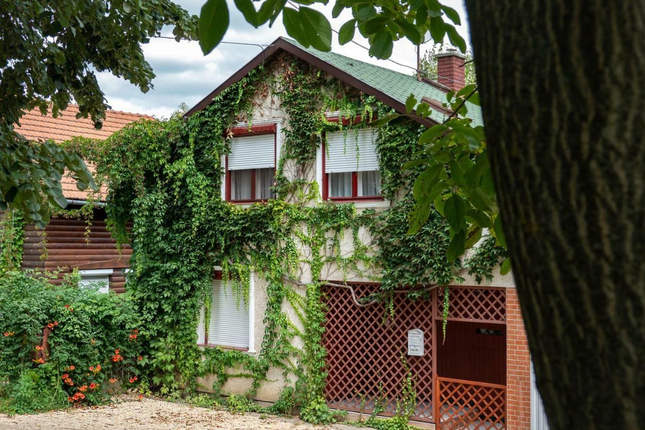 Vadszolo Apartmanhaz Gyomaendrőd エクステリア 写真